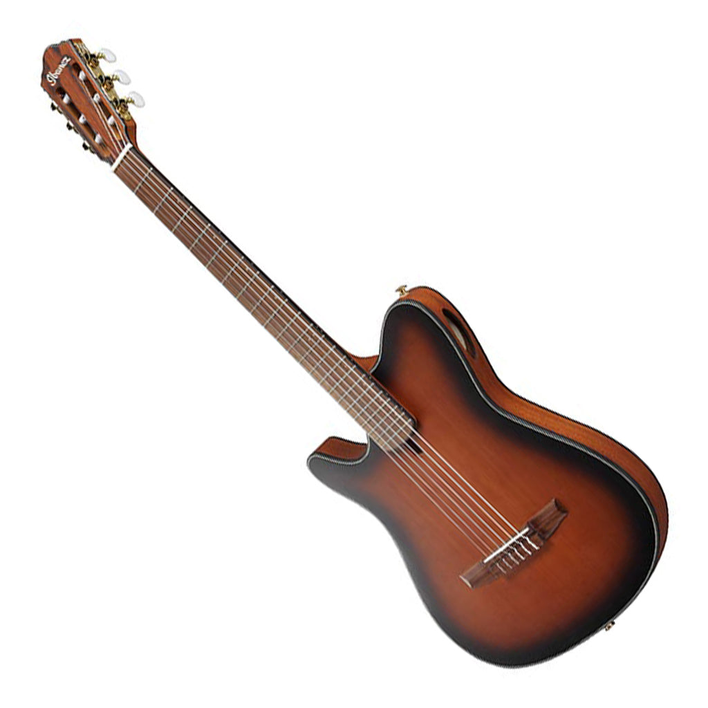 Ibanez - FRH10N Flat Left Handed Nylon String Guitar - Brown Sunburst