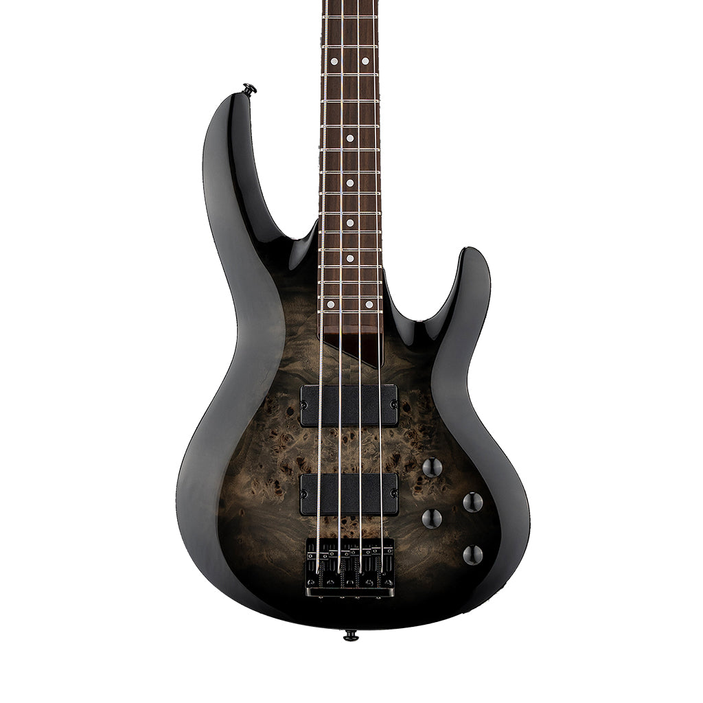 ESP LTD B-204DX Bass Guitar - Black Burst