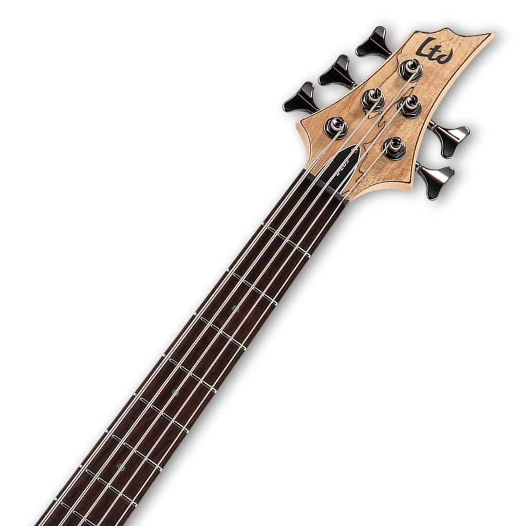 ESP LTD B-205 Spalted Maple 5-String Bass - Natural Satin