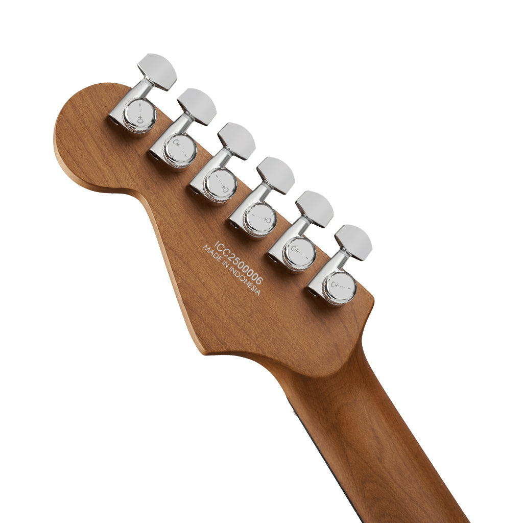 Charvel Pro-Mod Plus DK24 HH 2PT EB Electric Guitar - Raven Black