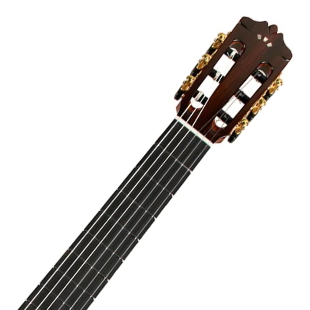 Cordoba C10 CD Classical Guitar w/Case - Natural