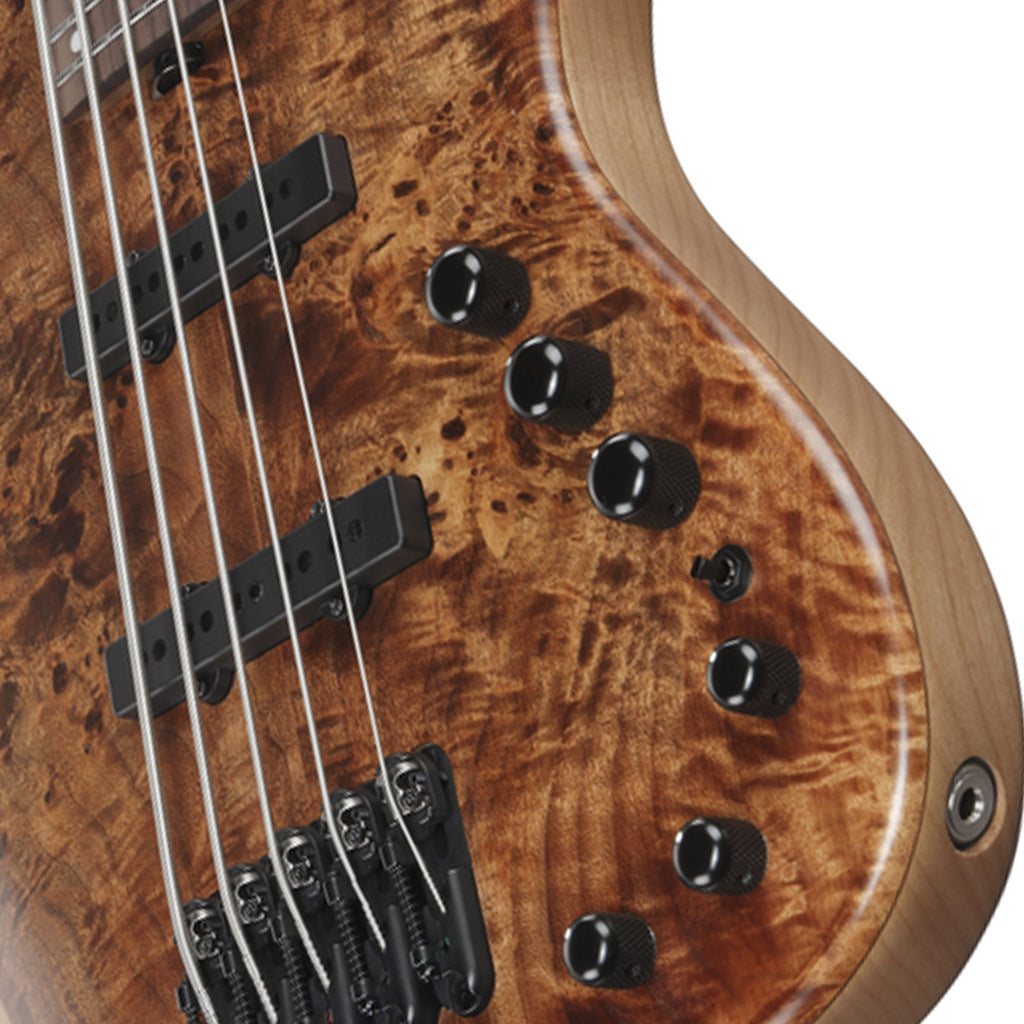 Ibanez MDM1605 5-String Electric Bass - Natural Mocha Low Gloss