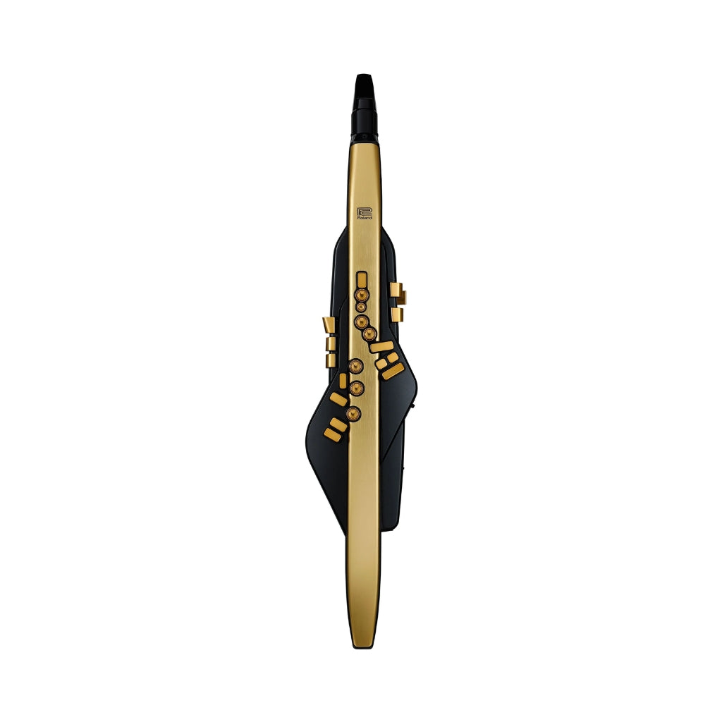Roland Commemorative Aerophone Pro AE-30A Digital Wind Instrument - Anniversary Gold sky music