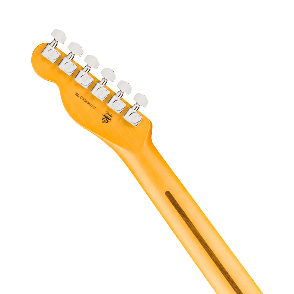 Fender American Professional Telecaster Maple Electric Guitar - Natural