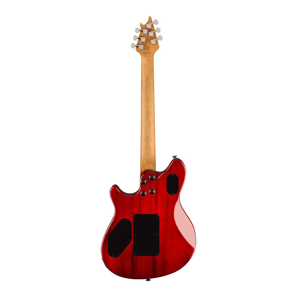 EVH Wolfgang WG Standard Exotic Zebrawood Natural