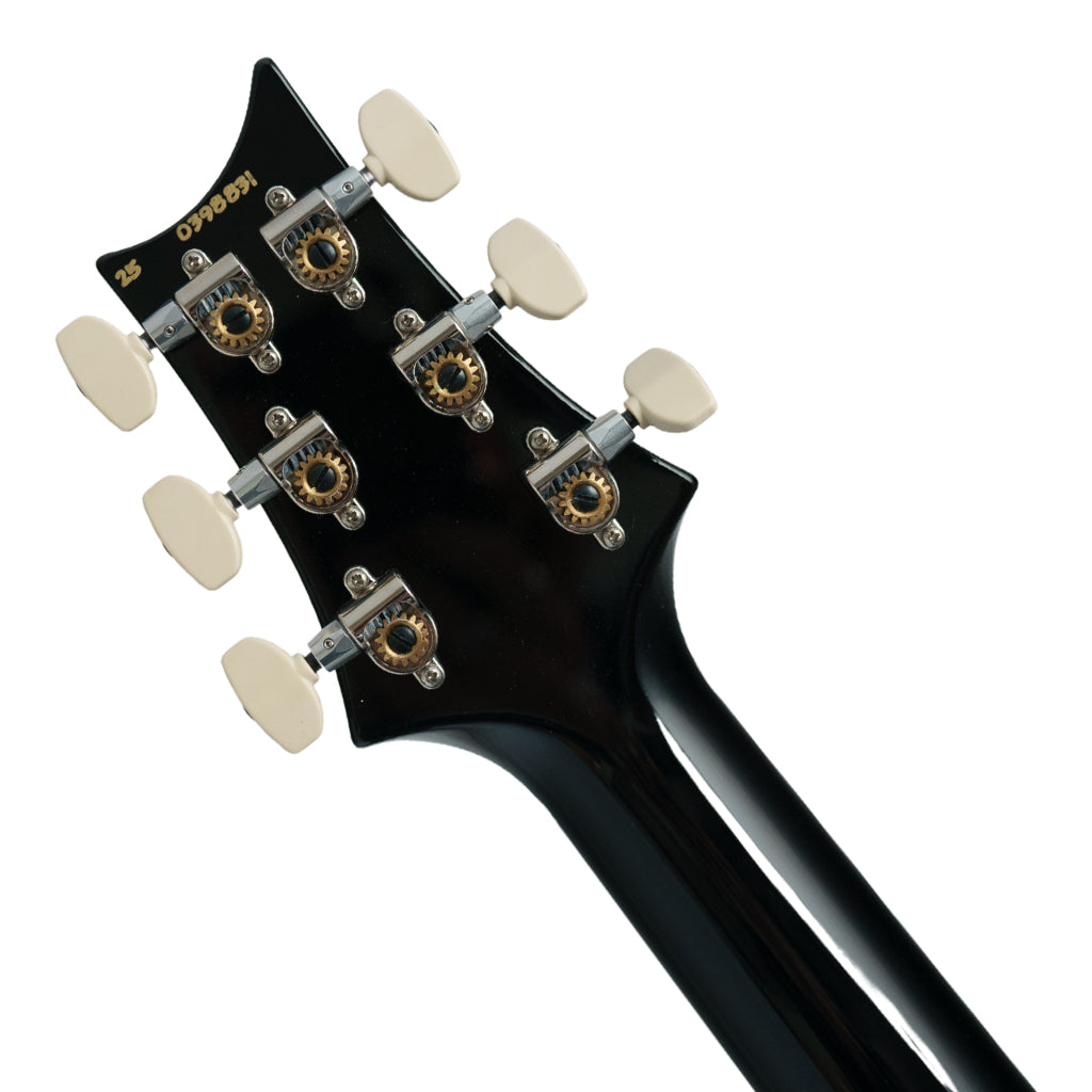 PRS Custom 24, Pattern Thin - Purple Mist