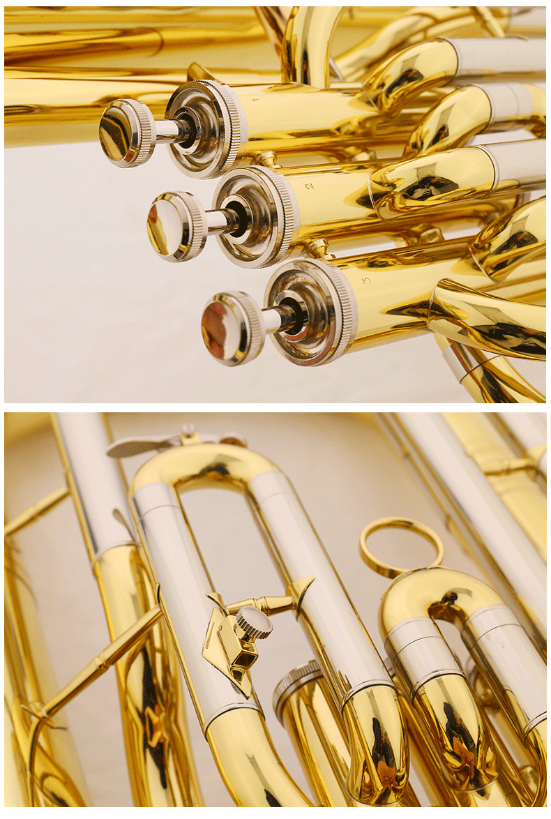Knight Euphonium EP-1180, 3 Pistons, with Case