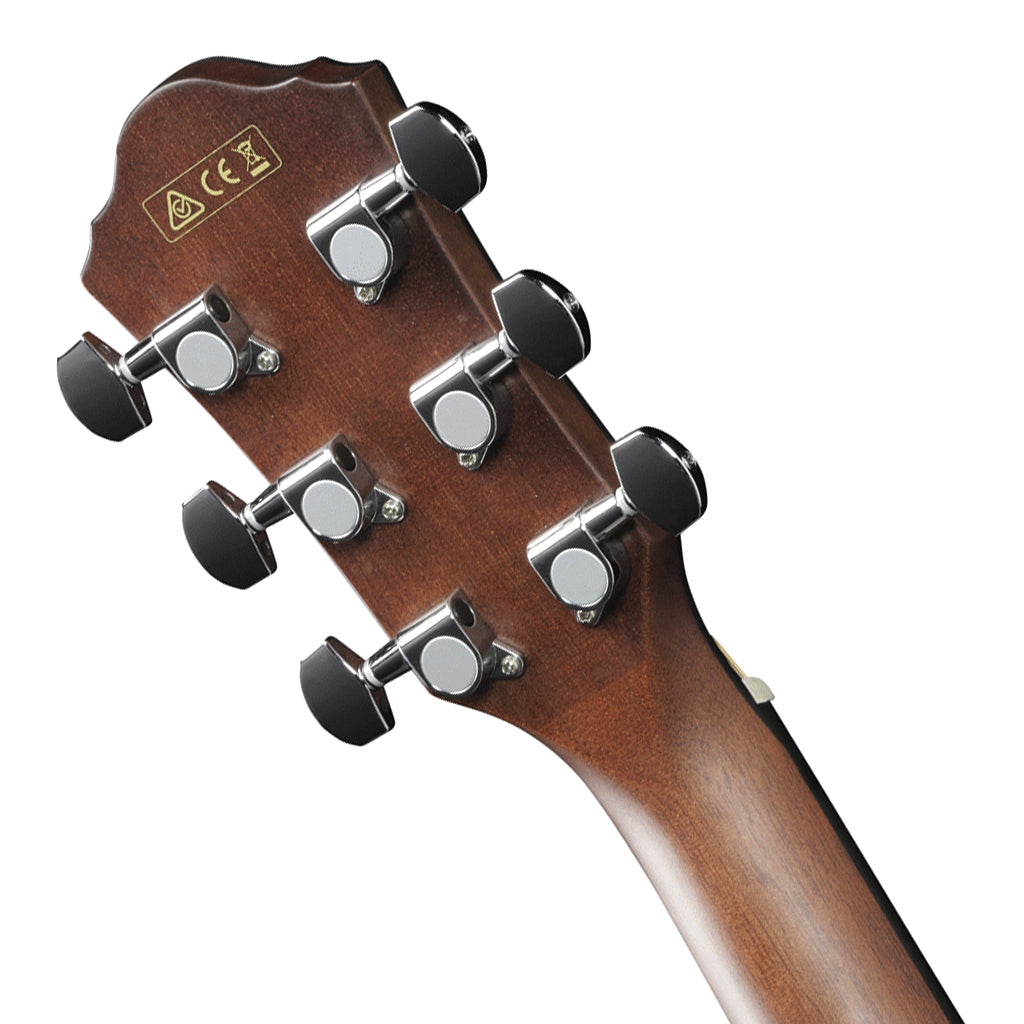 Ibanez AEG50 DHH Acoustic Guitar