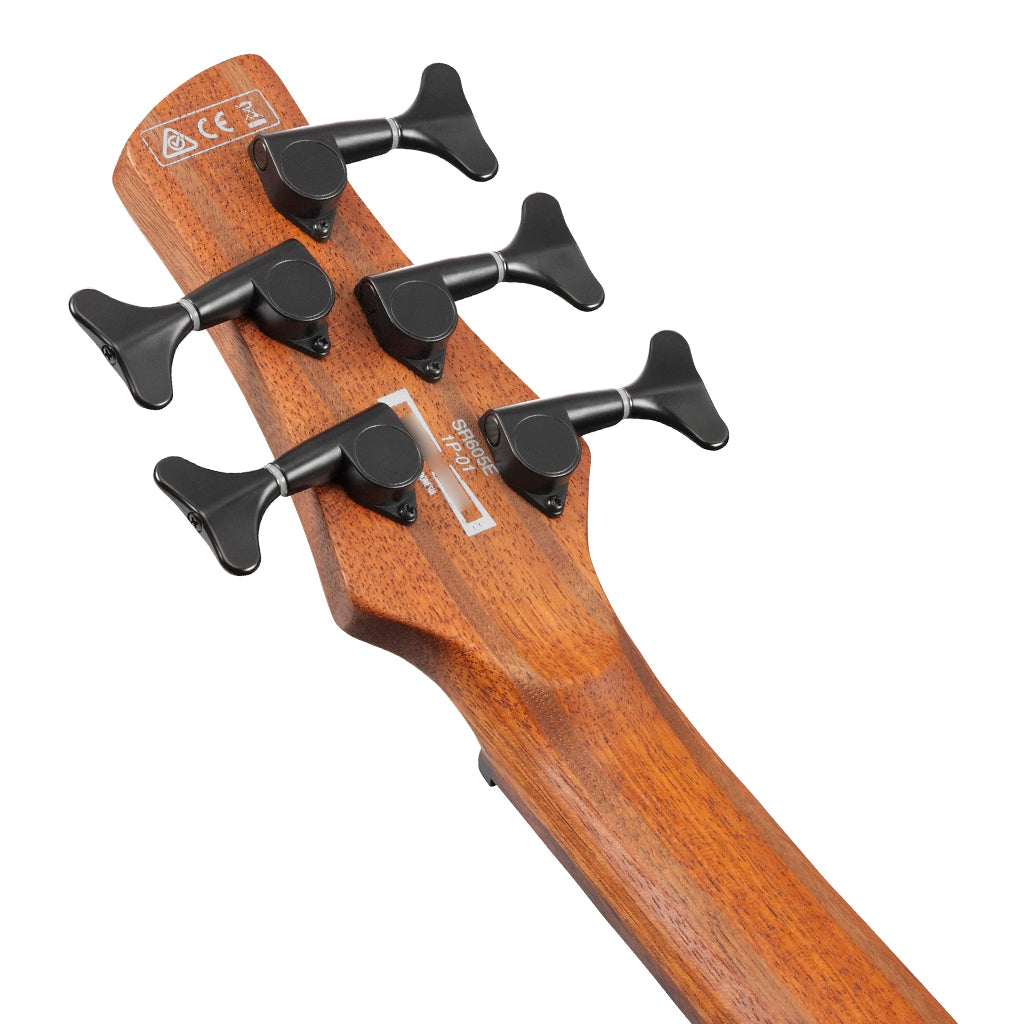 Ibanez SR605E BKT Electric 5 String Bass