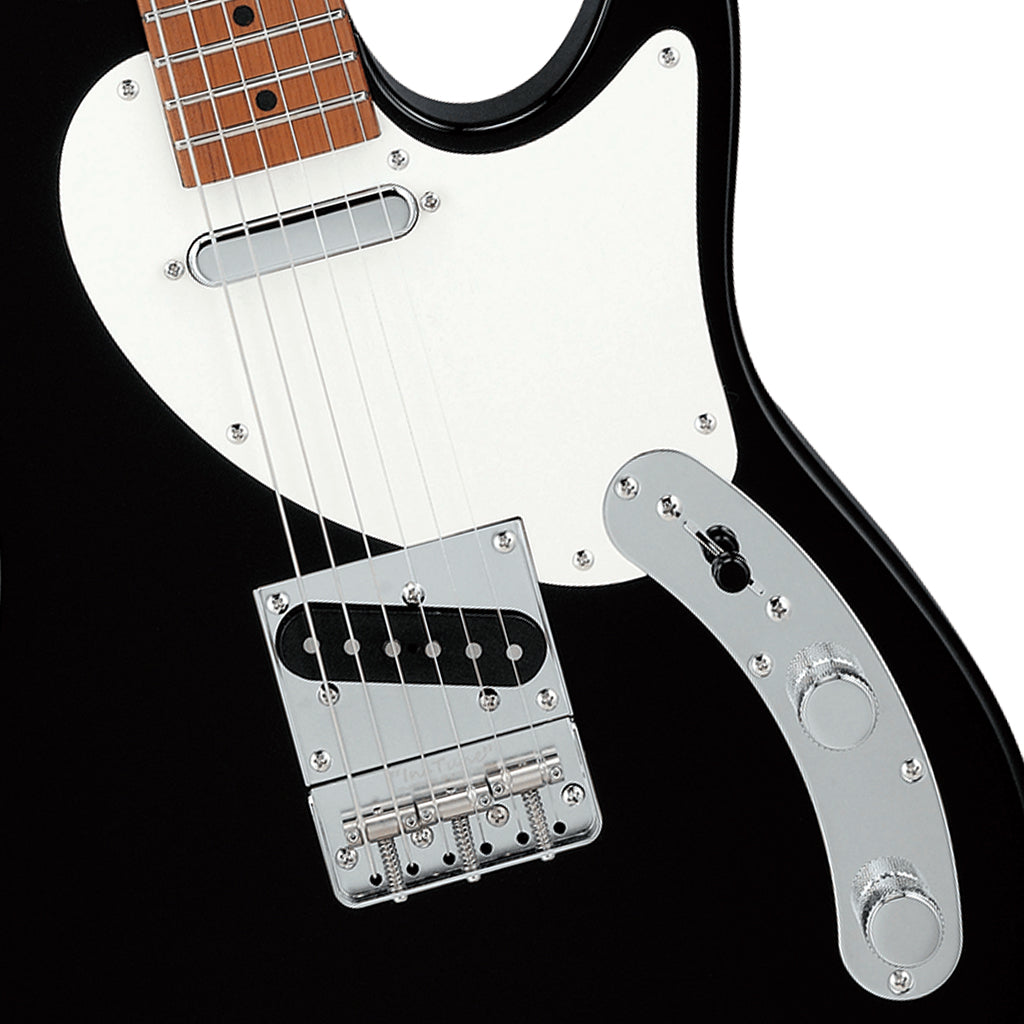 Ibanez FLATV1 Josh Smith Black