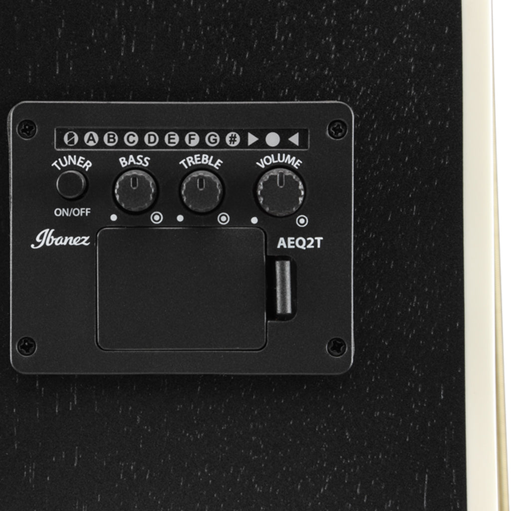 Ibanez PF16MWCEWK Electro Acoustic Guitar Weathered Black Open Pore