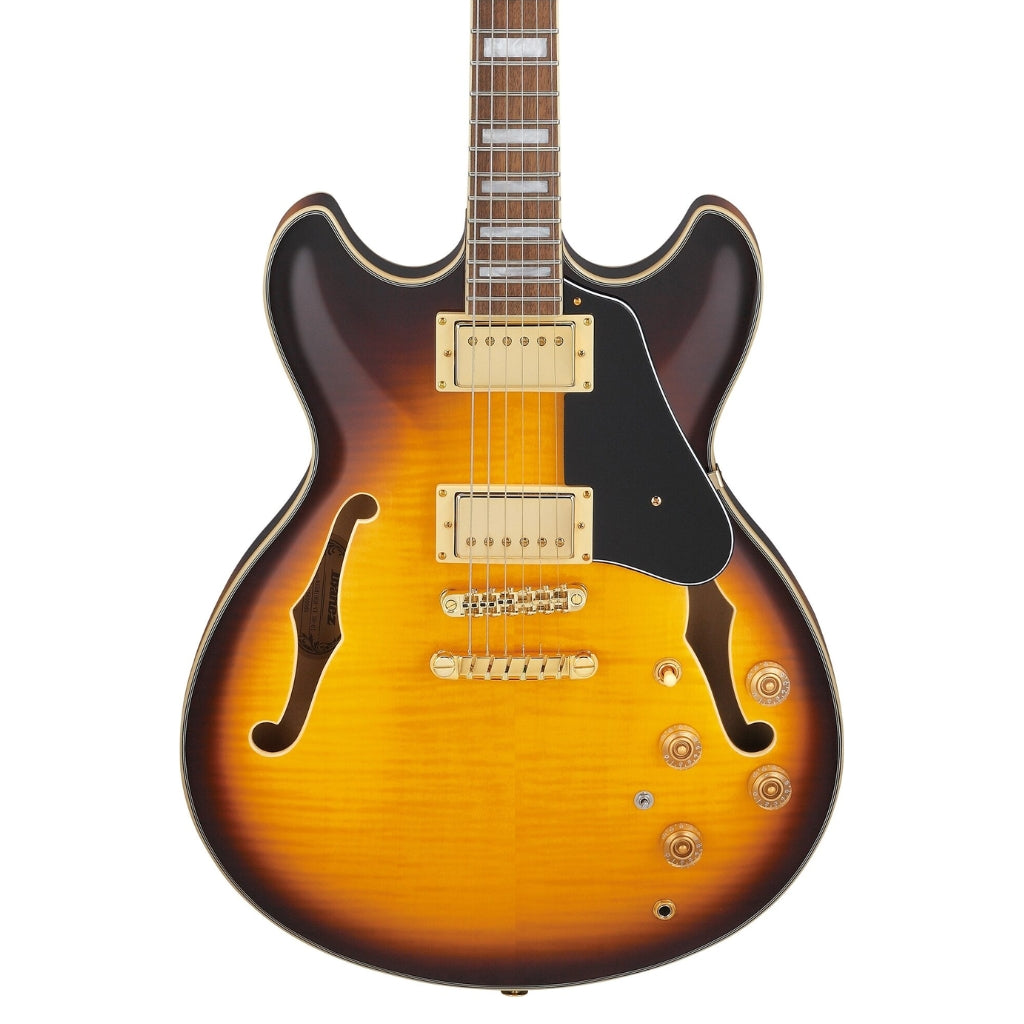 Ibanez JSM10EM John Scofield Signature Electric Guitar - Two Tone Burst