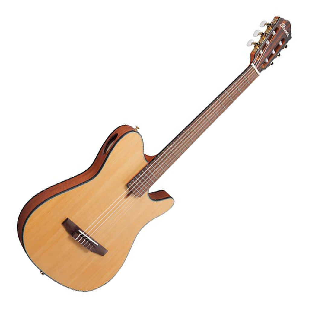 Ibanez FRH10N Natural Flat Nylon String Guitar