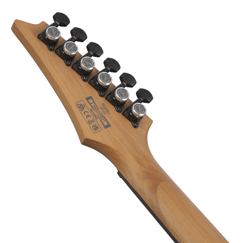 Ibanez RGD61 Nyatoh Body and Ebony Fretboard Black Aurora Burst Matte