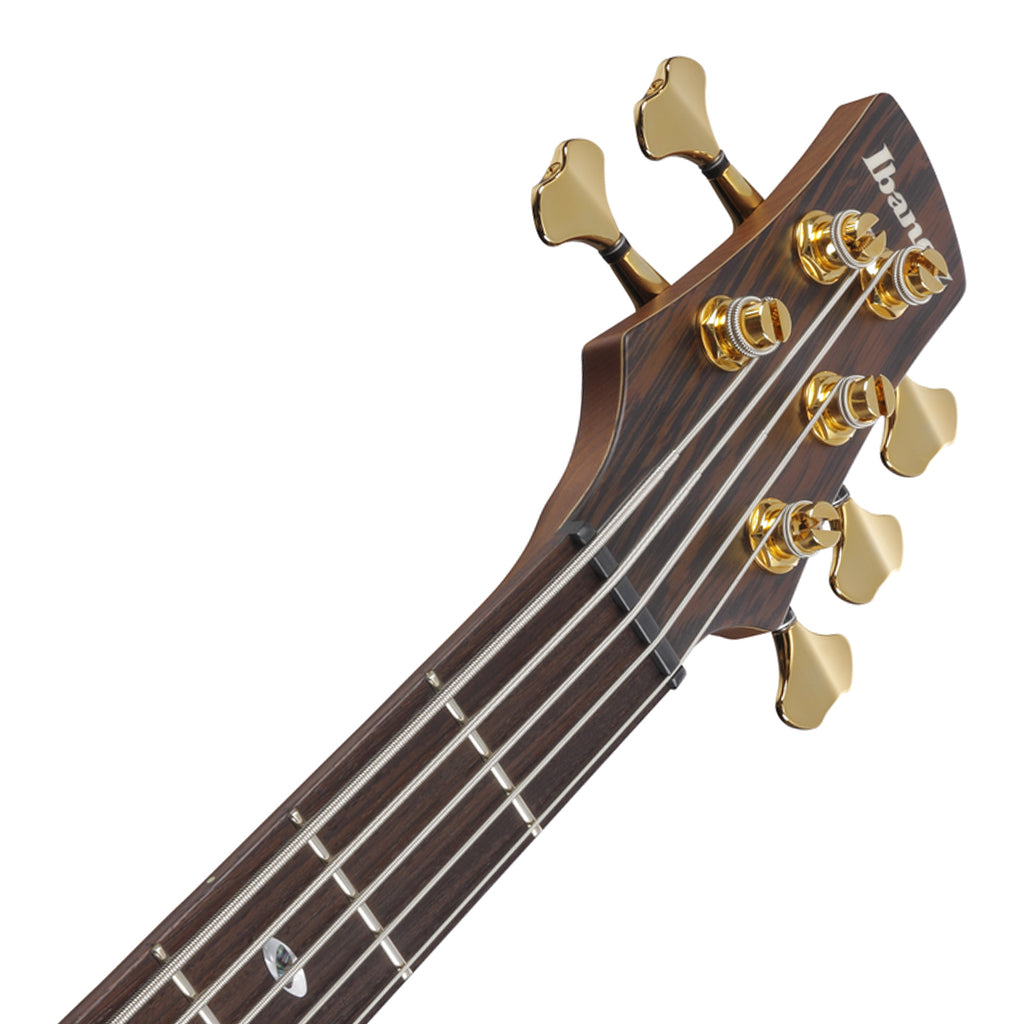 Ibanez SR5505 5 String Bass Ovangkol Top with Rosewood Fretboard and Case Mocha Flat