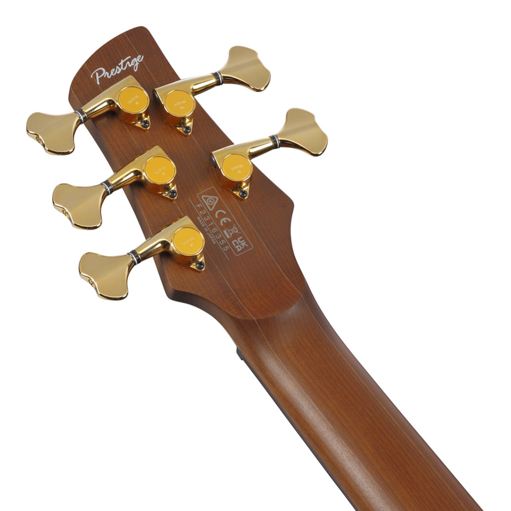 Ibanez SR5505 5 String Bass Ovangkol Top with Rosewood Fretboard and Case Mocha Flat