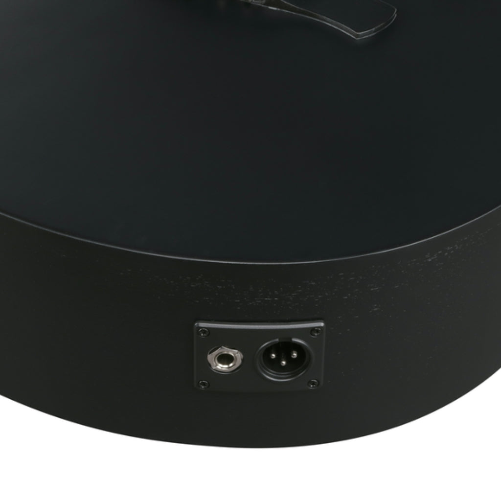 Ibanez - AEWC621 Acoustic Guitar - Black Out