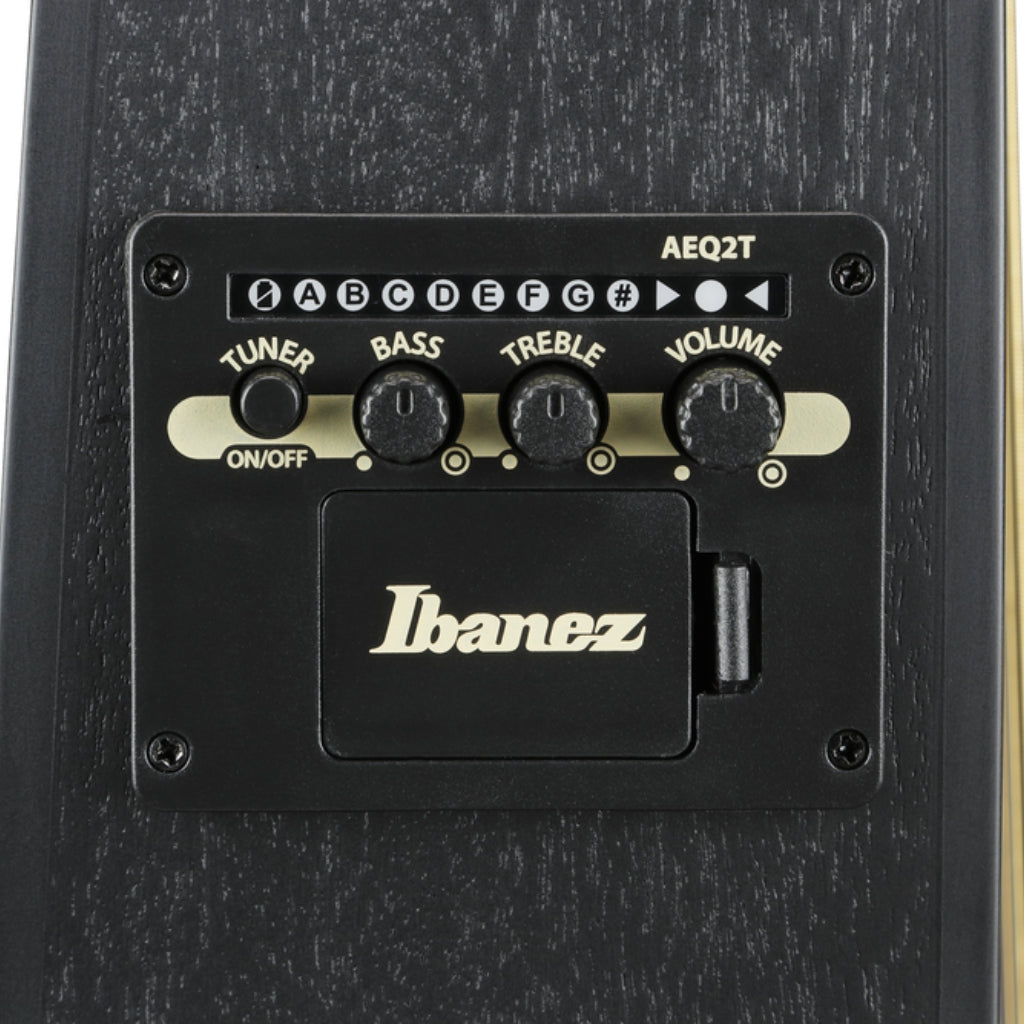 Ibanez - TCY621 Acoustic Guitar - Black Out