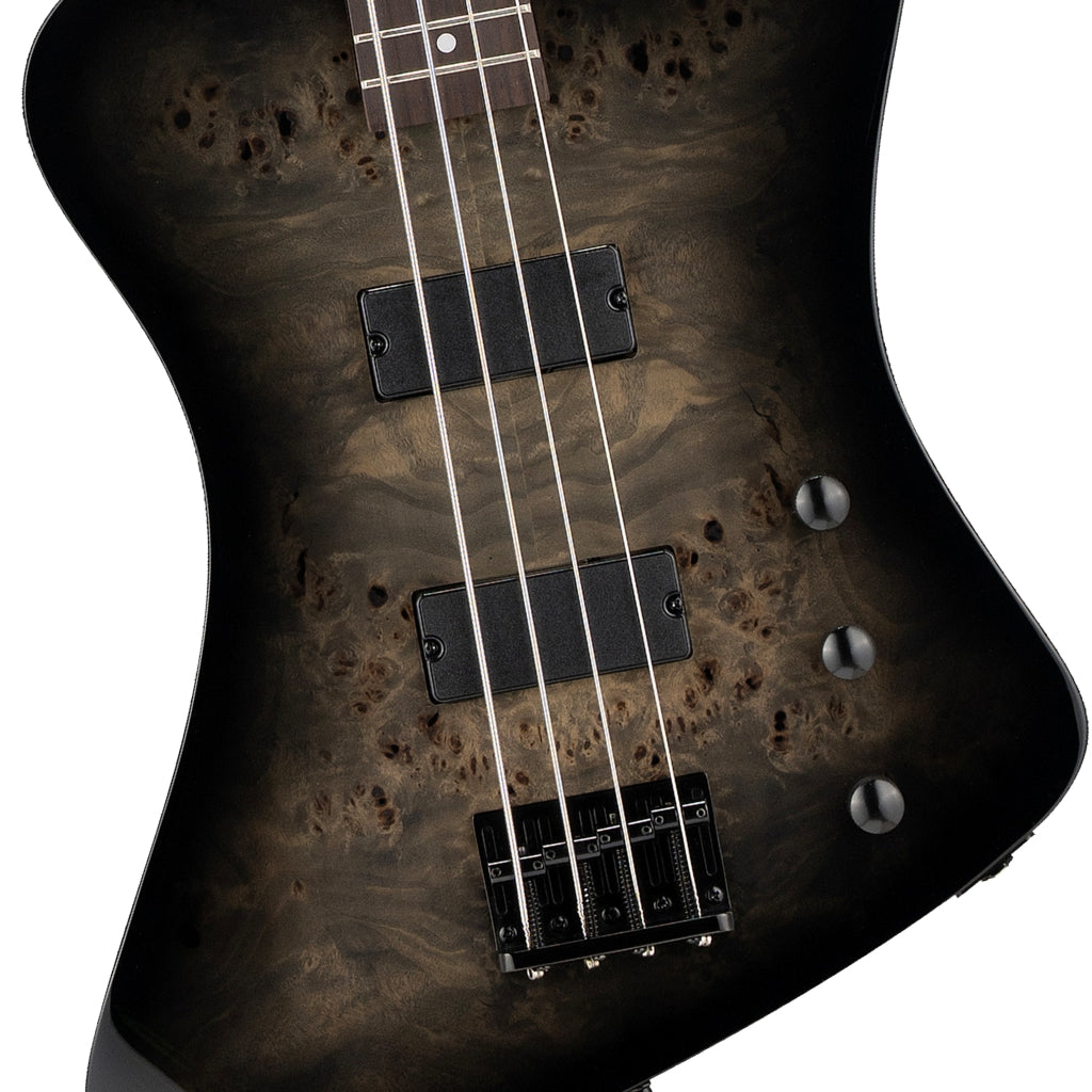 ESP LTD - Phoenix-204DX Electric Bass Guitar - Black Burst