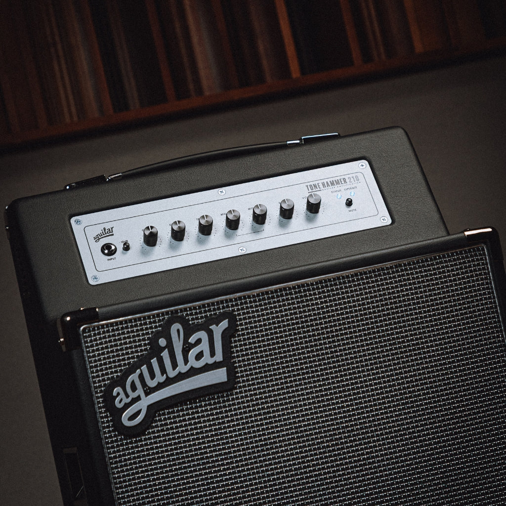 Aguilar - Tone Hammer 210 300-watt, 2 x 10-inch - Combo Amplifier