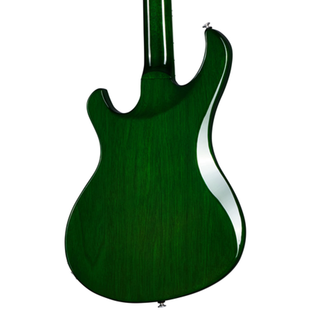 Gibson Victory Figured Top Iguana Burst