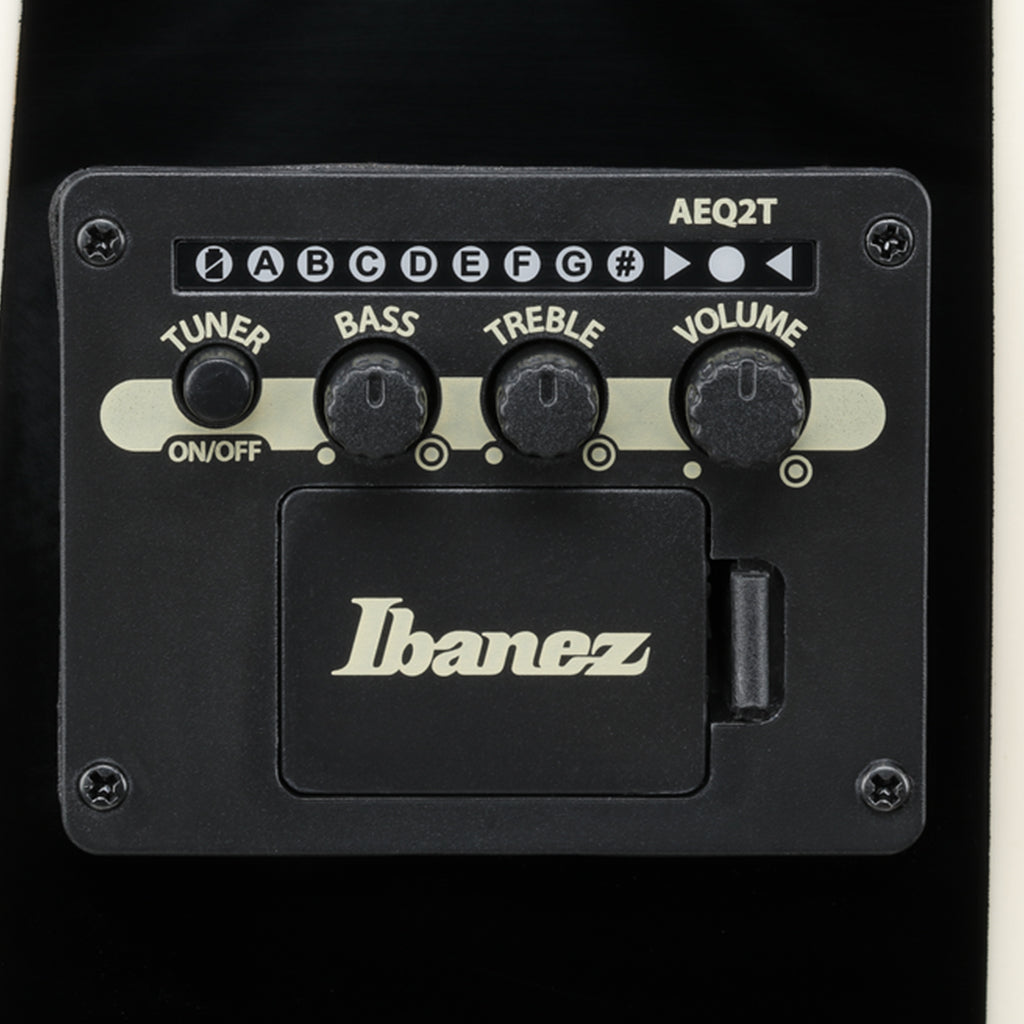 Ibanez TCY10PA Acoustic Guitar w/Pickup - Transparent Brown Black Burst High Gloss