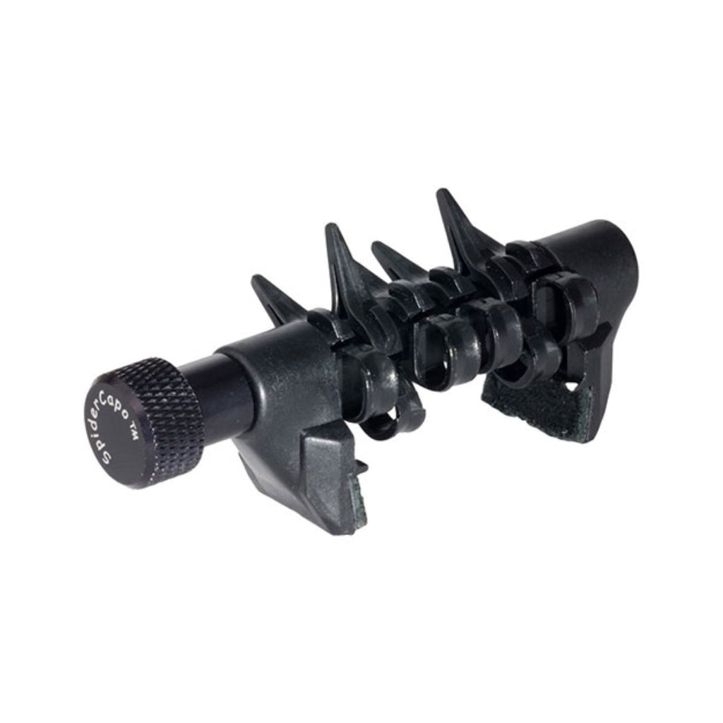 D'Andrea - Spider Capo - Standard