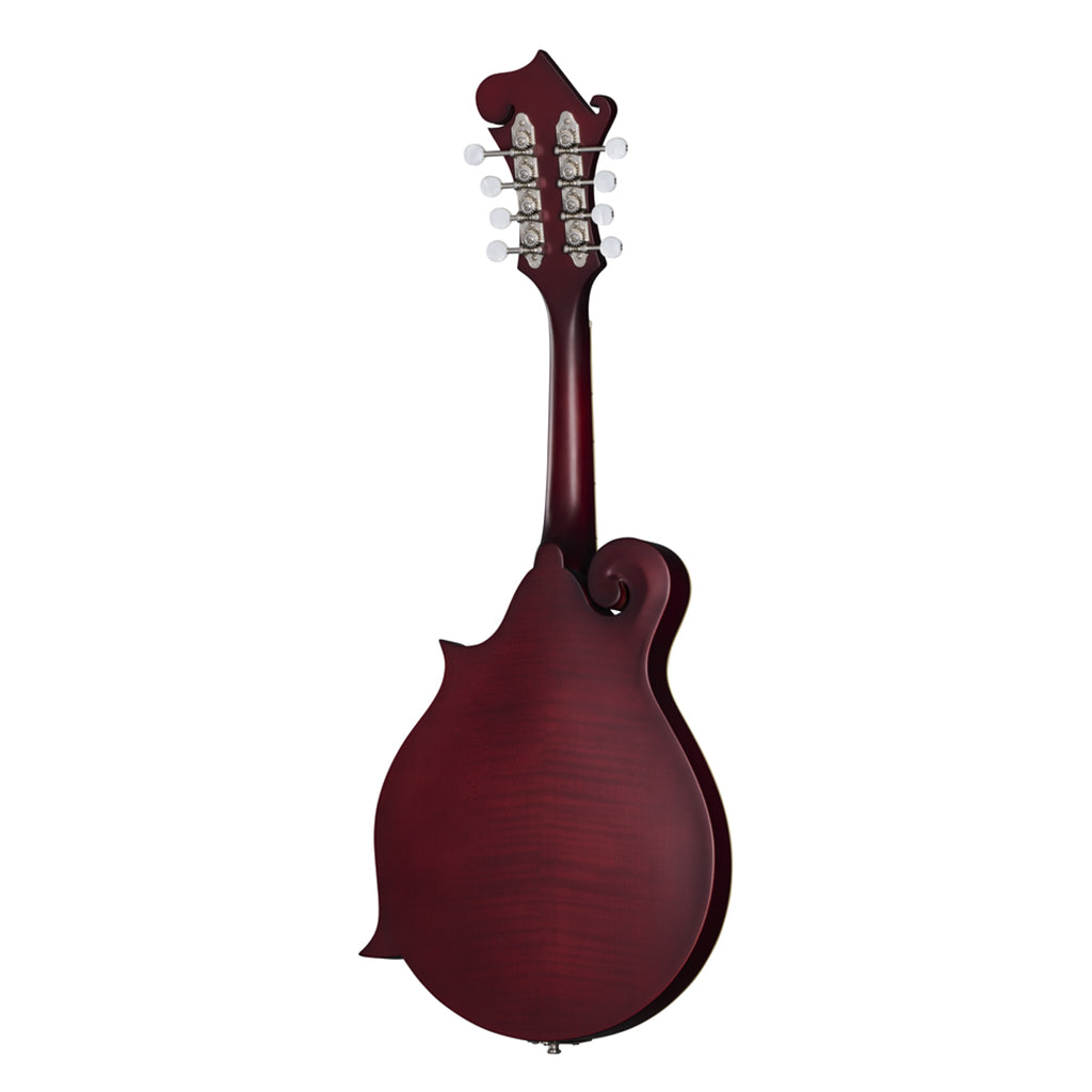Epiphone F 5 Studio Mandolin Wine Red Satin