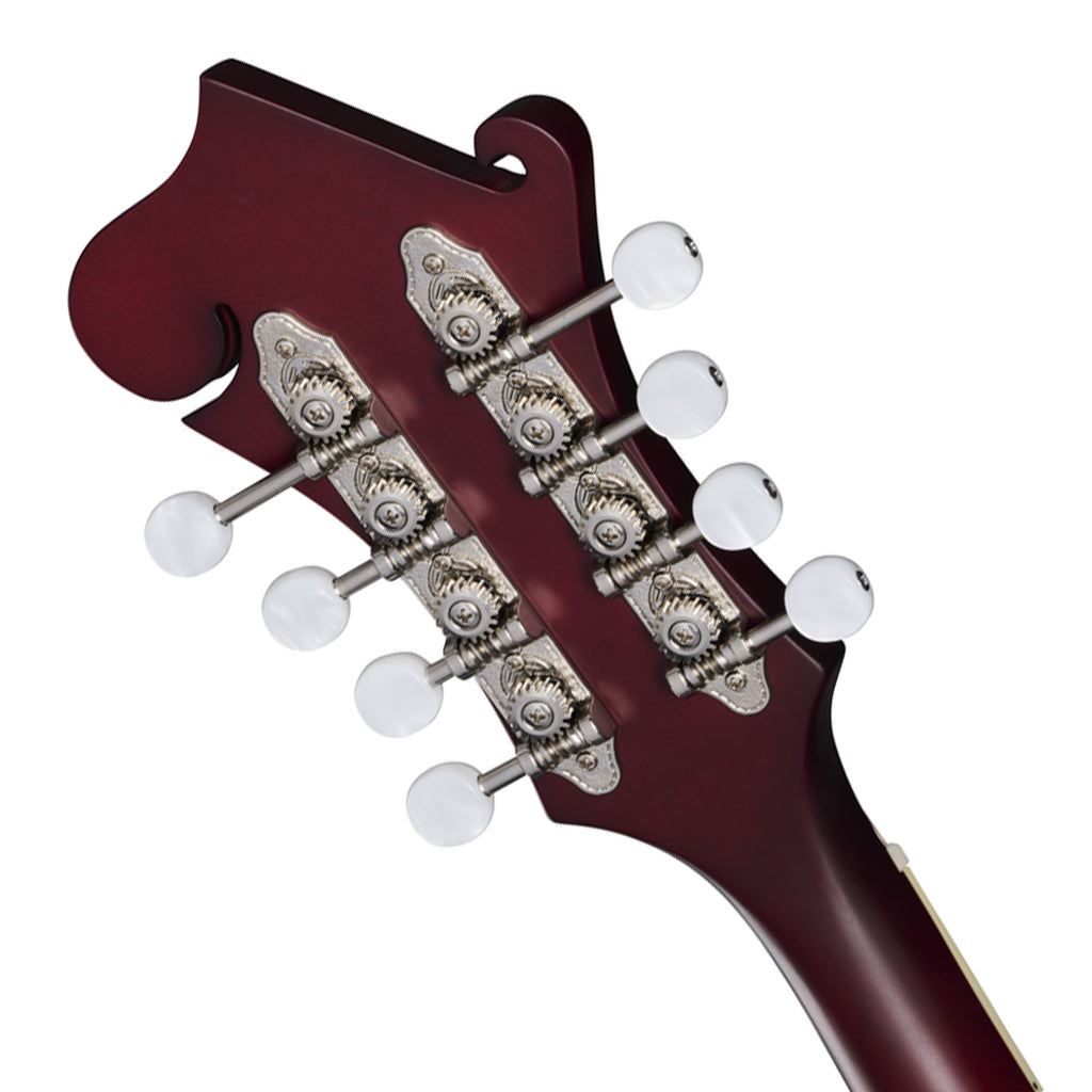 Epiphone F 5 Studio Mandolin Wine Red Satin