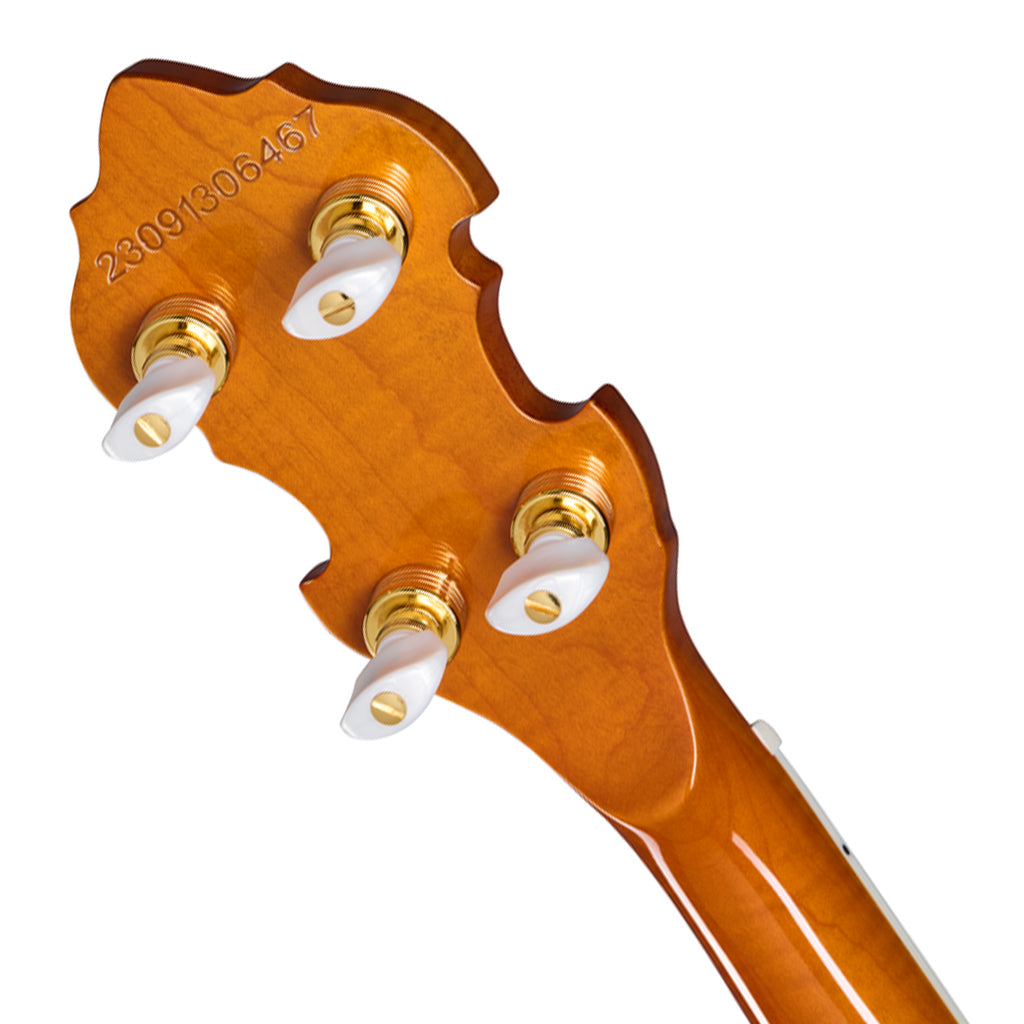 Epiphone Earl Scruggs Golden Deluxe Banjo Vintage Sunburst