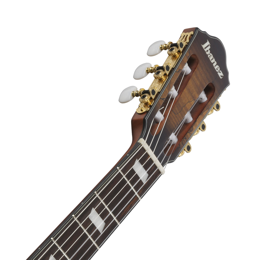 Ibanez FRH20SMN Nylon String Guitar Spalted Maple - Tobacco Burst Low Gloss
