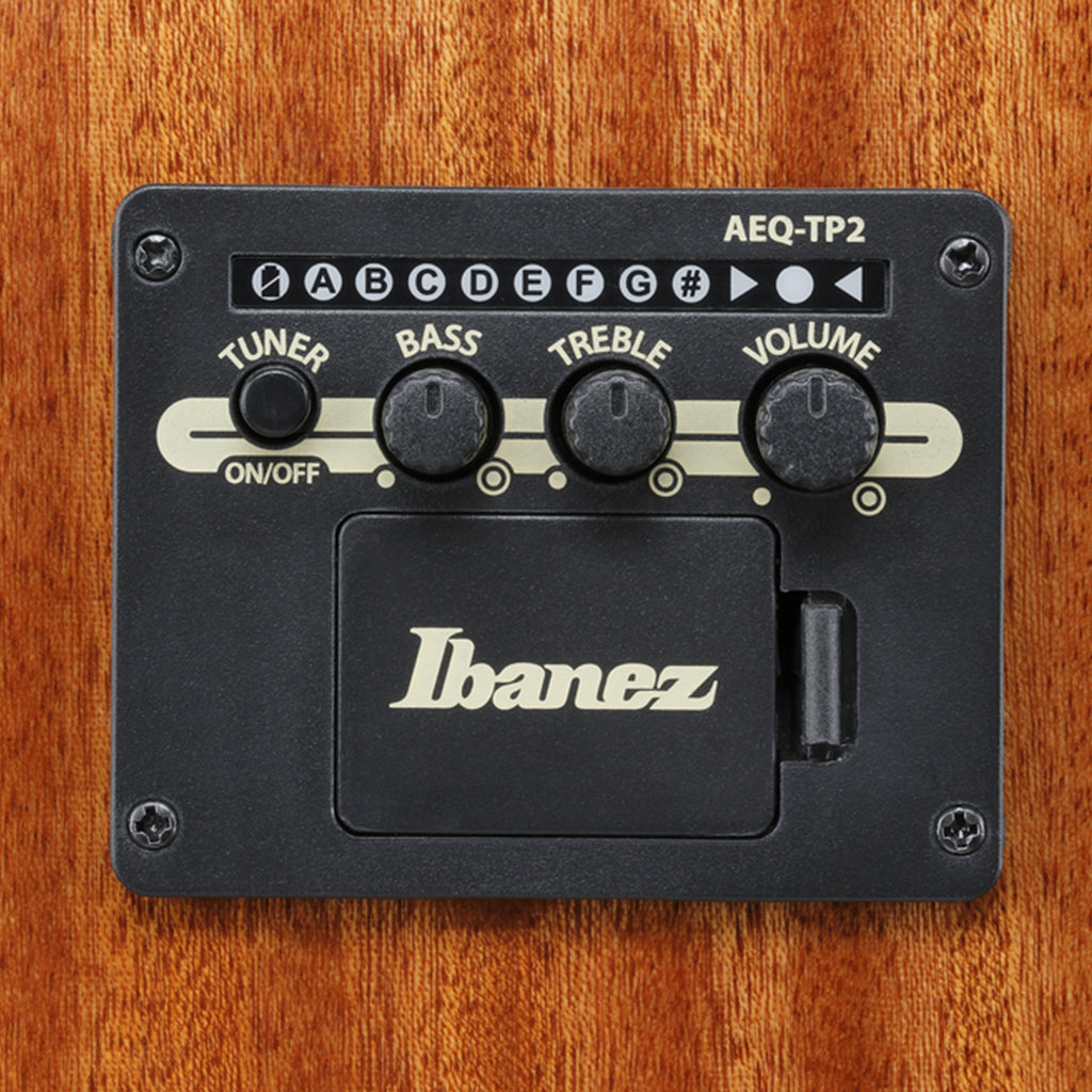 Ibanez AAD51CE Dreadnought Cutaway Acoustic Guitar w/Pickup - Natural High Gloss