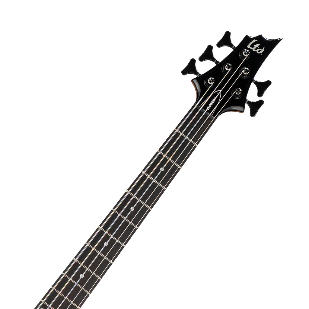 ESP LTD B-205DX 5-String Bass Guitar - Black Burst