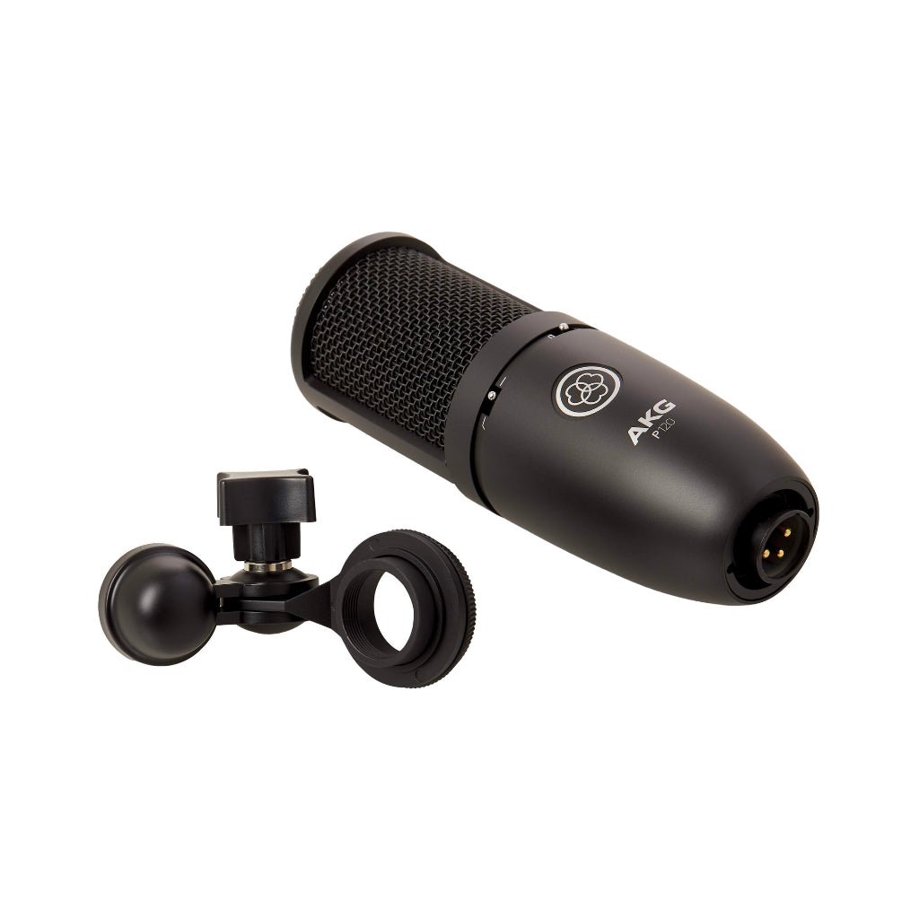AKG P120 Large Diaphragm Condenser Microphone Microphones Sky Music