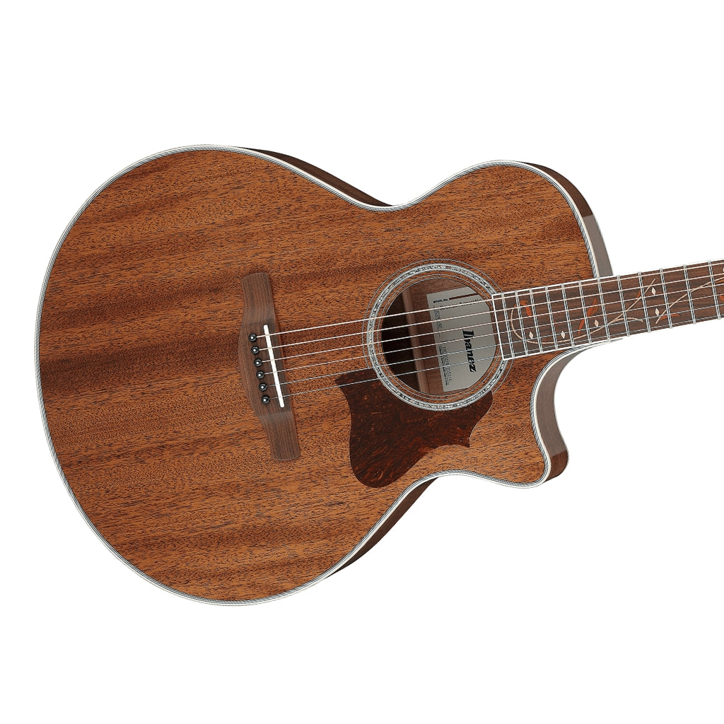 Ibanez - AE245 Solid Top Acoustic-Electric Guitar - Natural