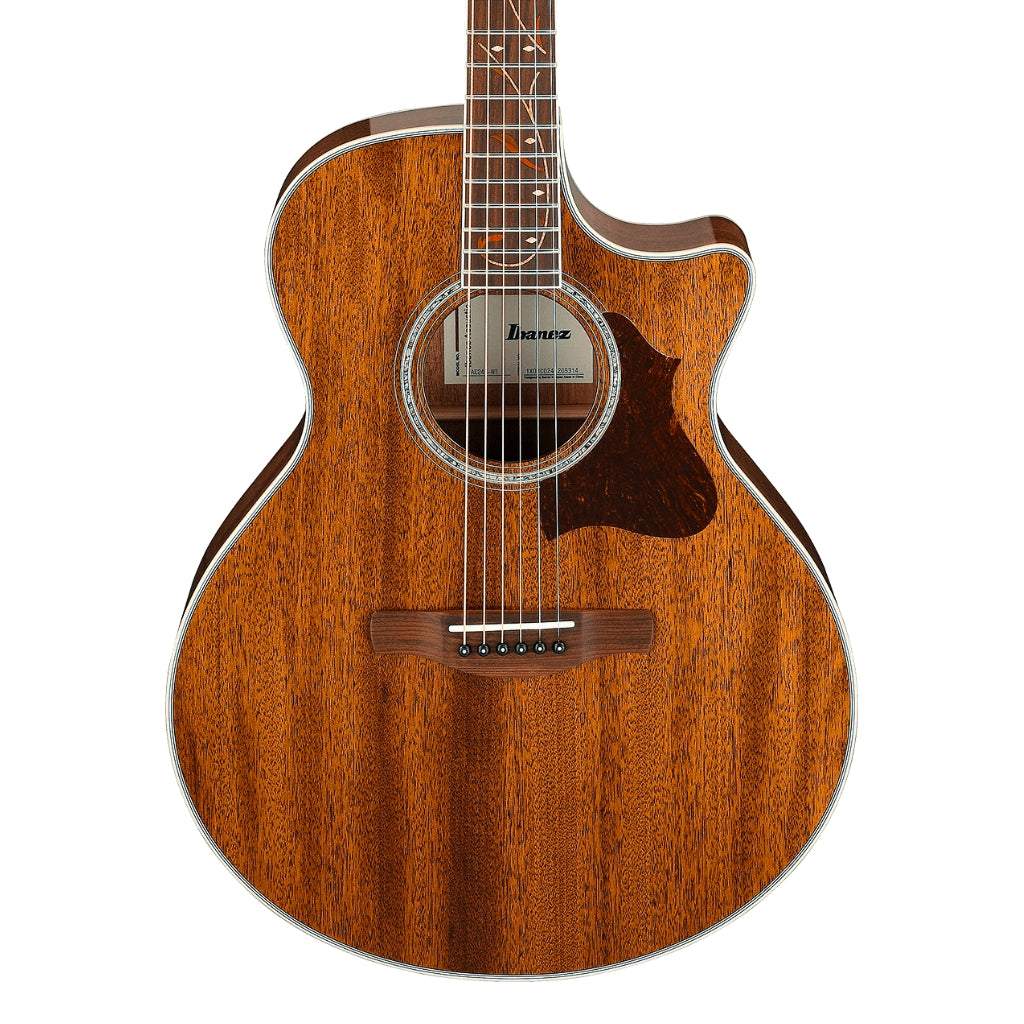Ibanez - AE245 Solid Top Acoustic-Electric Guitar - Natural