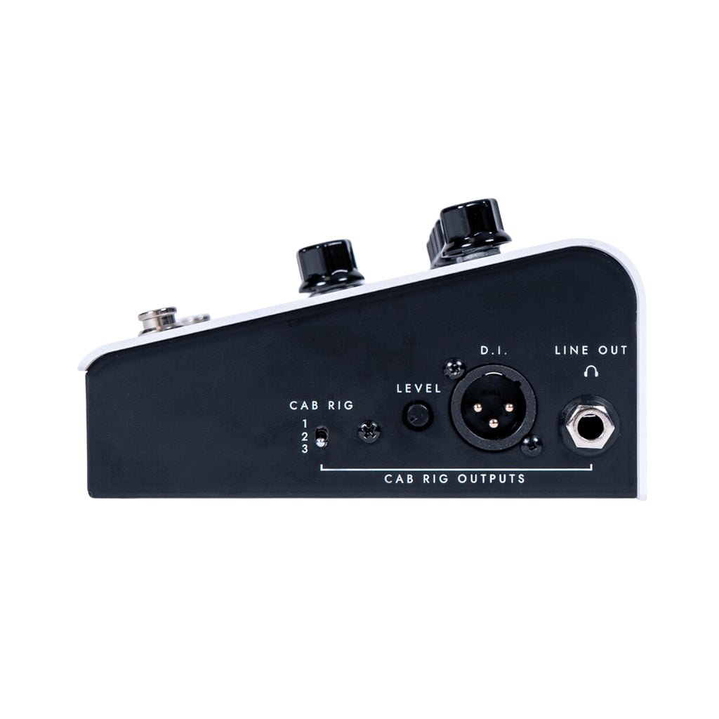 Blackstar Dept 10 AMPED 1 100-watt Guitar Amplifier Pedal Electric Guitar Amplifiers Sky Music
