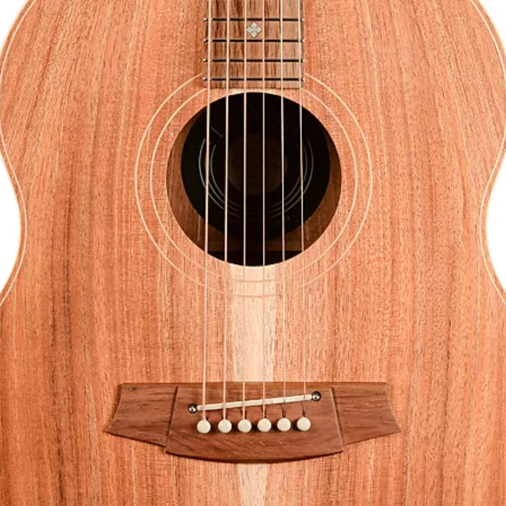 Cole Clark - LL2E-BLBL Little Lady 2E Acoustic Guitar - All Blackwood