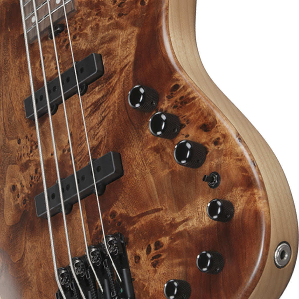 Ibanez MDM1600 Electric Bass - Natural Mocha Low Gloss