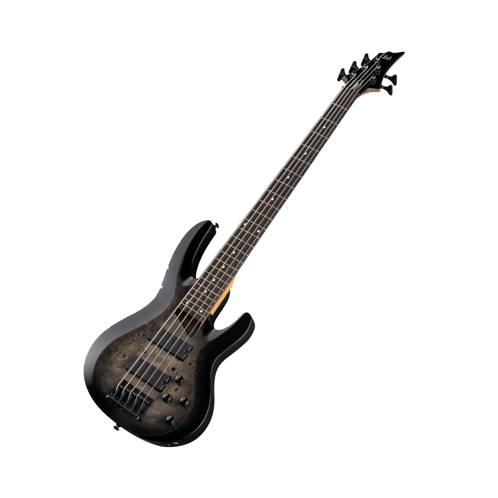 ESP LTD B-205DX 5-String Bass Guitar - Black Burst