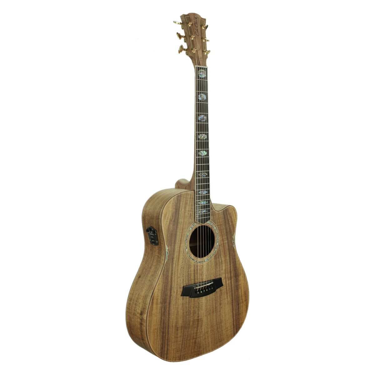 Cole Clark Fat Lady 3 Cutaway Acoustic-Electric Guitar - Blackwood Acoustic Guitars Sky Music