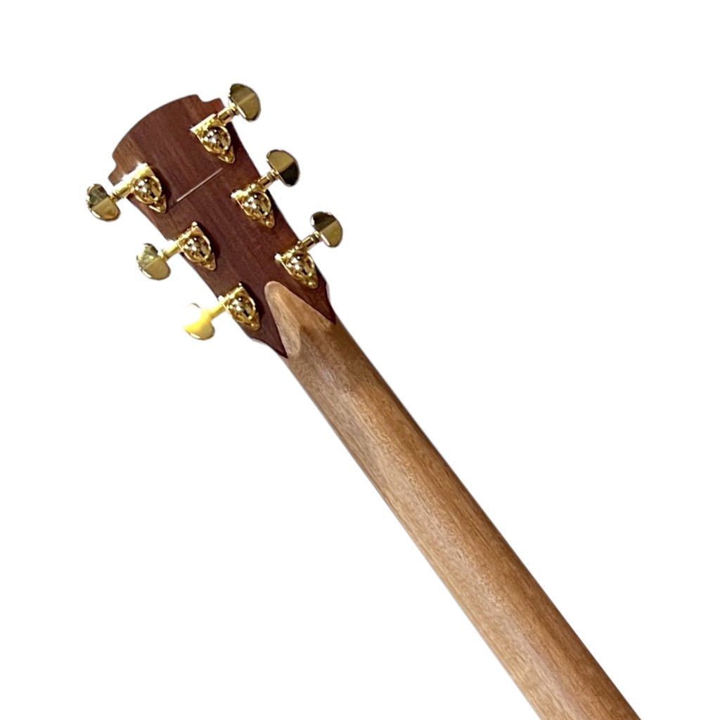 Cole Clark Thinline Grand Auditorium Acoustic/Electric - All Blackwood Acoustic Guitars Sky Music