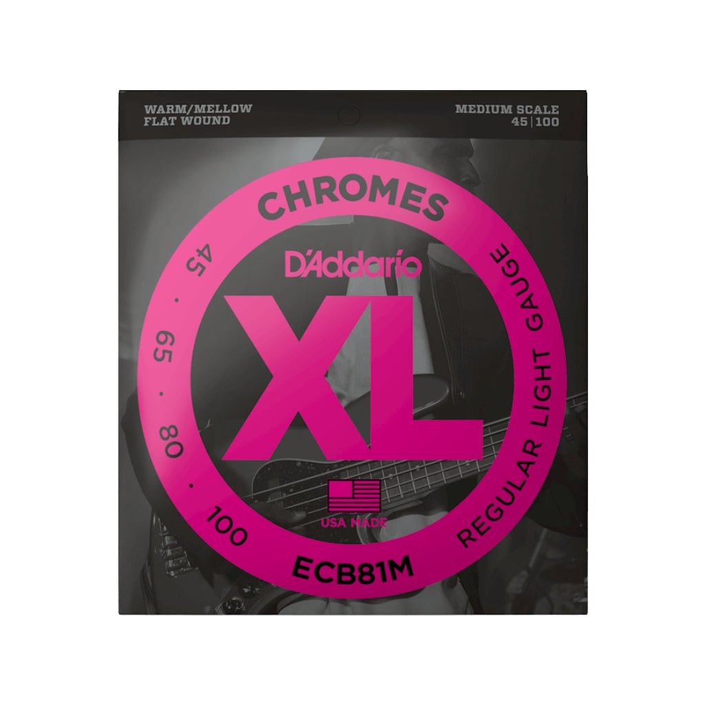 D'Addario Regular Light Medium Scale Bass Strings - 45-100 Bass Strings Sky Music