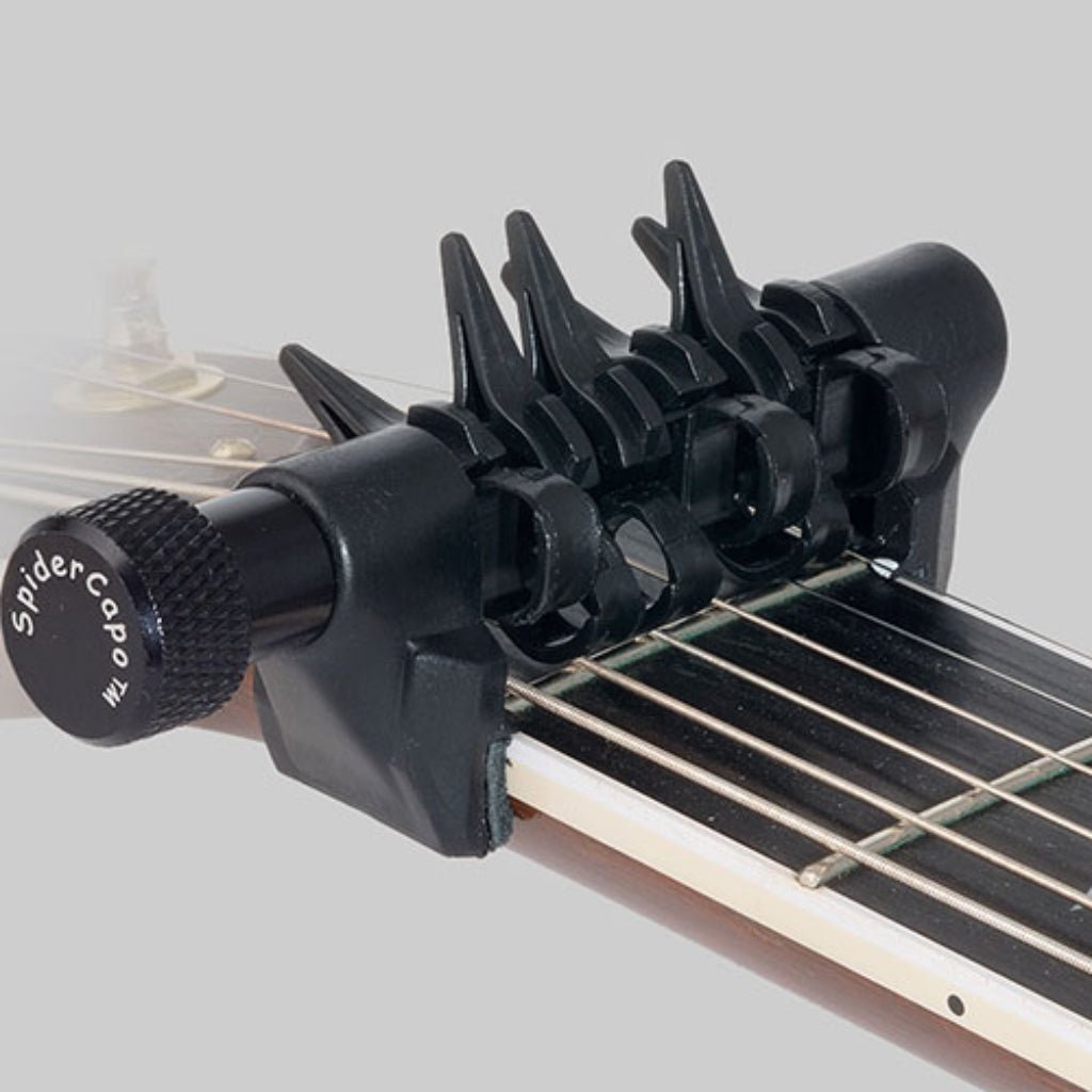 D'Andrea Spider Capo - Standard Capos Sky Music