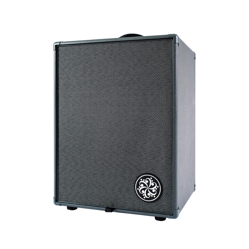 DARKGLASS - Infinity 500 watt - Bass Combo 2 x 10"