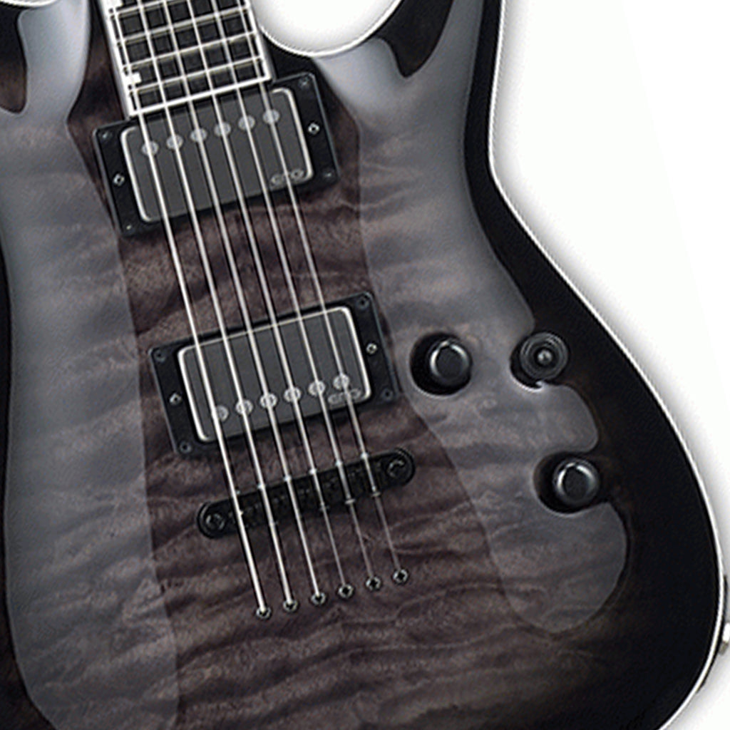 ESP E 2 Horizon II See Thru Black Sunburst Guitar