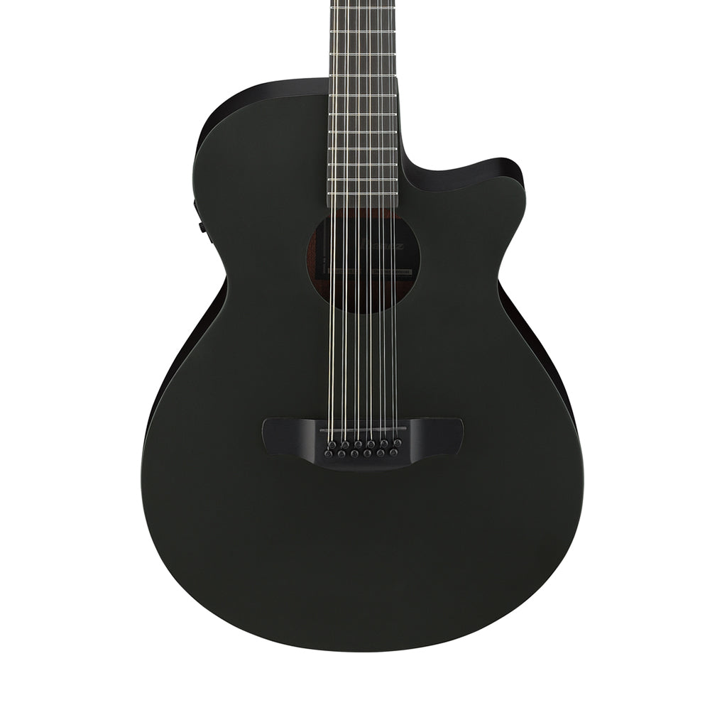 Ibanez AEG1221 12-String Acoustic Guitar w/Pickup - Black Out