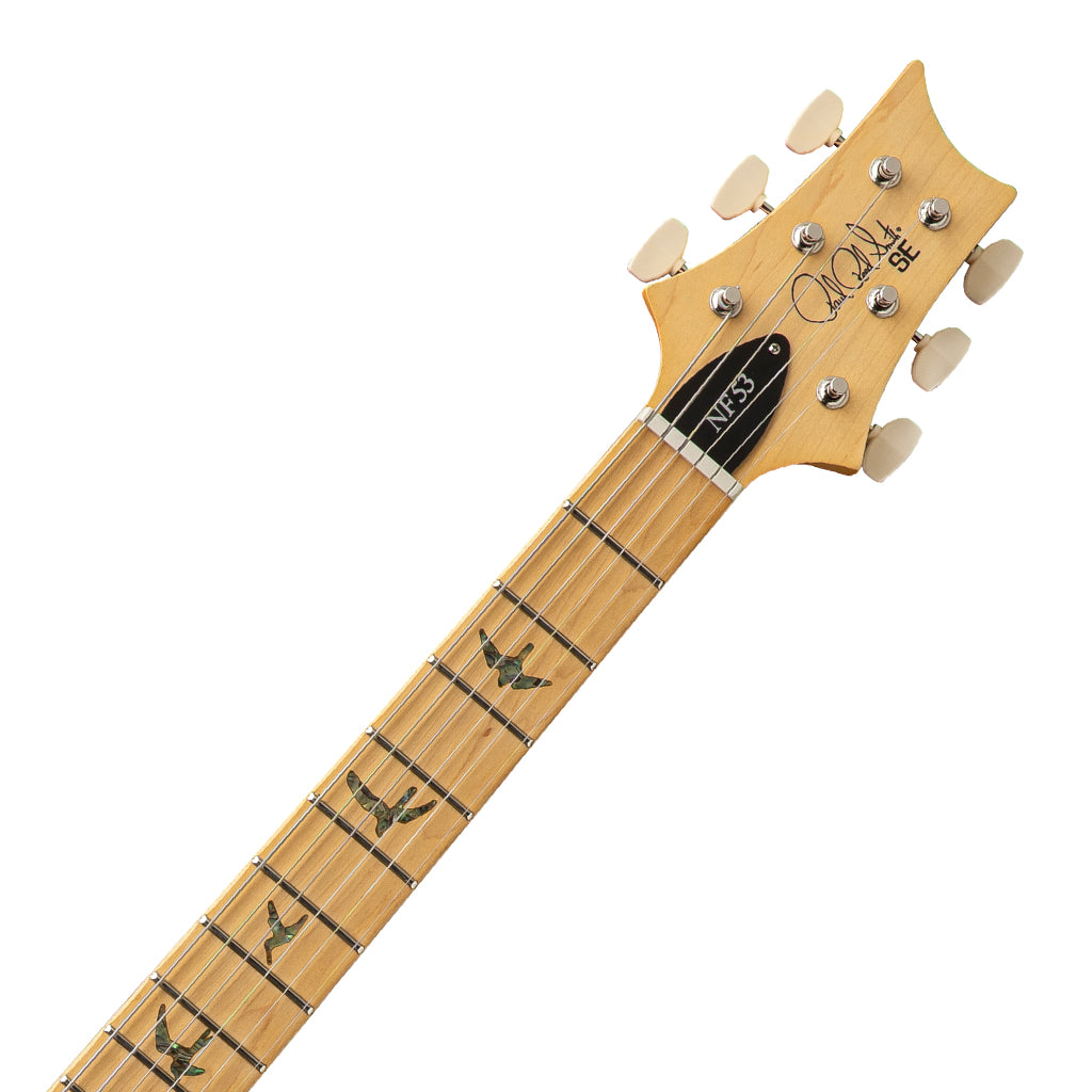 PRS SE NF53 Swamp Ash Body w/Narrowfield DD “S” Pickups - Black Doghair