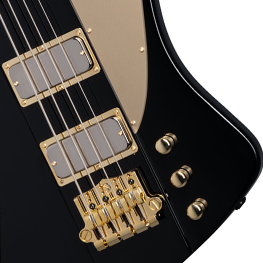 Epiphone Rex Brown Thunderbird Bass in Ebony Bass Guitars Sky Music