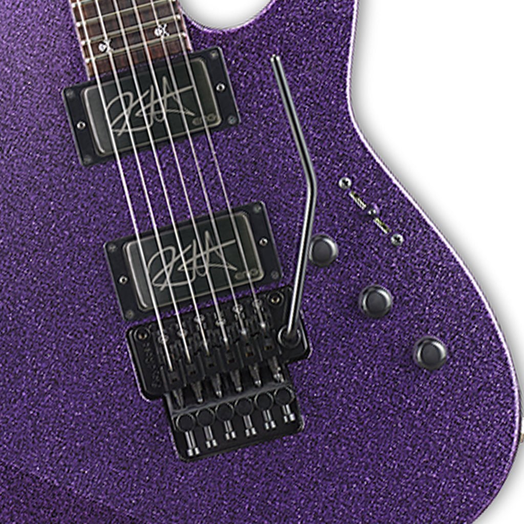 ESP Custom Shop KH-2 Kirk Hammett Signature Electric Guitar Purple Sparkle Electric Guitars Sky Music